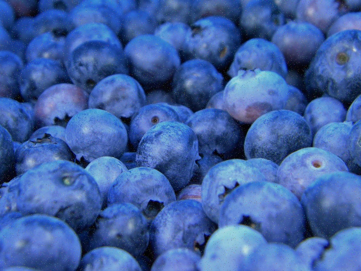 Ingredientes frescos